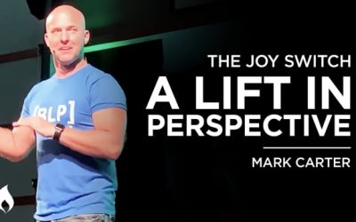 The Joy Switch: A Lift in Perspective