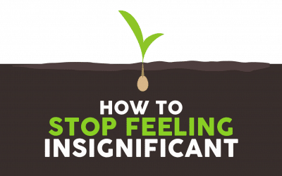 The Joy Switch: How to Stop Feeling Insignificant