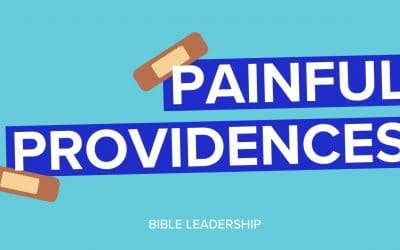 Happy Accident: Painful Providences