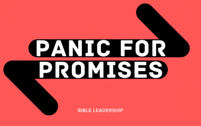 When the World is Shaking: Panic for Promises